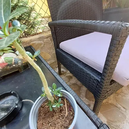 Cu Baie Guest house