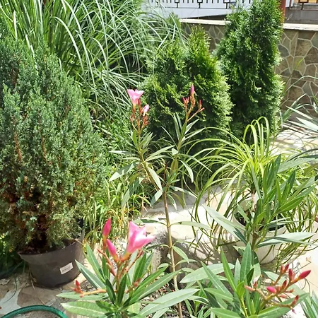 Cu Baie Guest house *