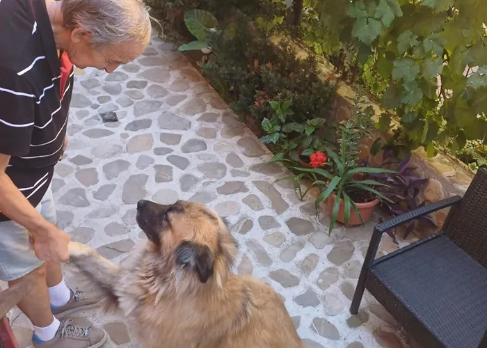 Cu Baie Proprie Carmen Affittacamere 3*