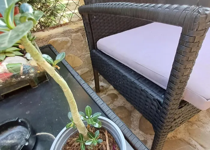 Cu Baie Proprie Carmen Affittacamere