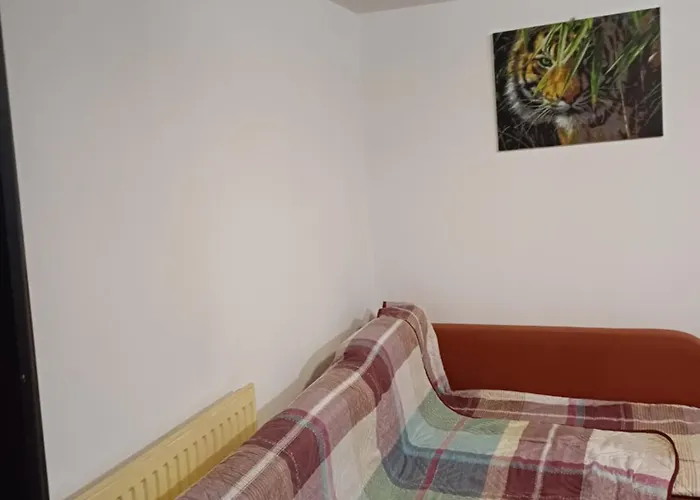 Cu Baie Proprie Carmen Maison d'hôtes