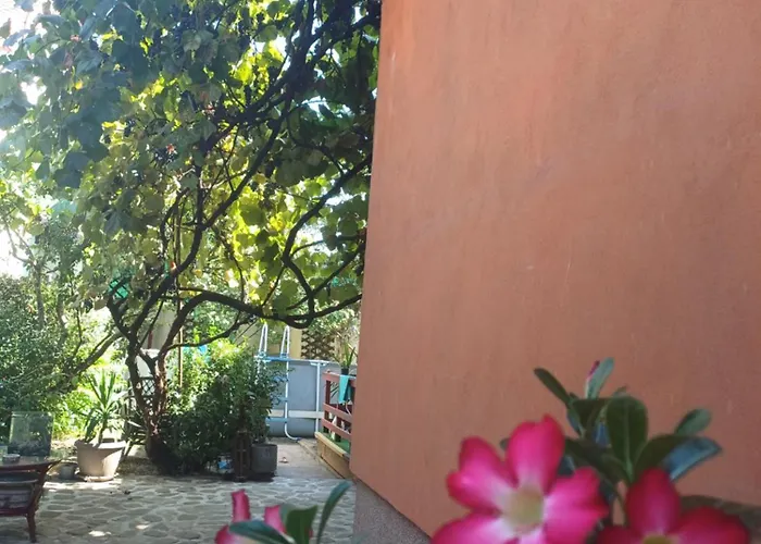 Maison d'hôtes Cu Baie Proprie Carmen