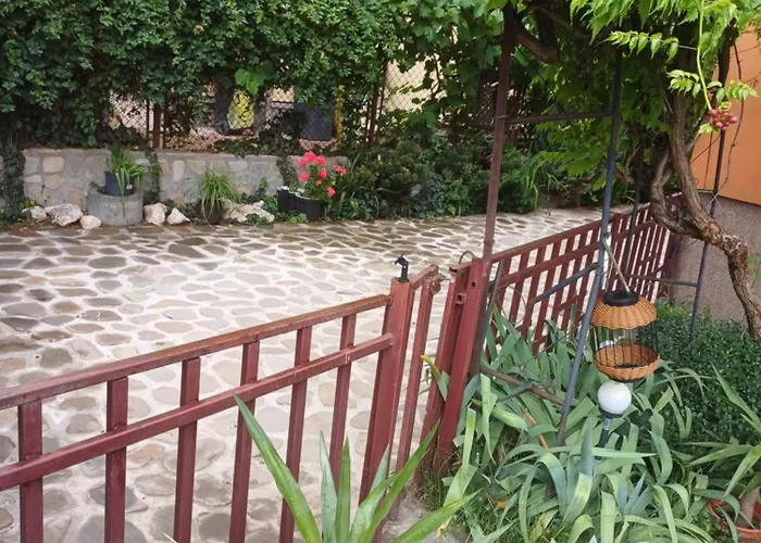 Cu Baie Proprie Carmen Timişoara