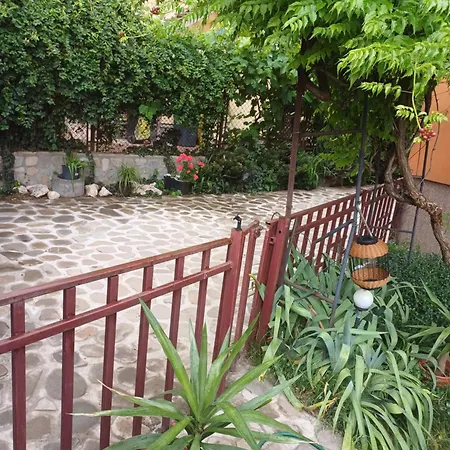 招待所 Cu Baie Proprie Carmen 3*