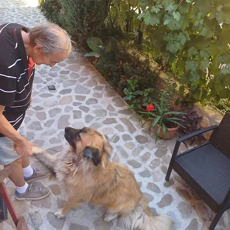 Cu Baie Proprie Carmen 招待所 3*