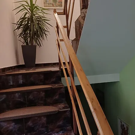 Cu Baie Proprie Carmen 3* 蒂米什瓦拉