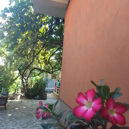 招待所 Cu Baie Proprie Carmen