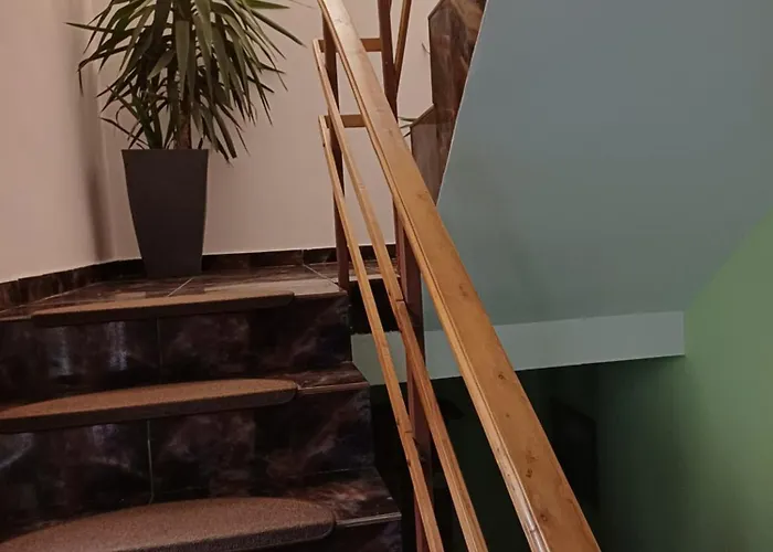 Cu Baie Proprie Carmen 3* 蒂米什瓦拉