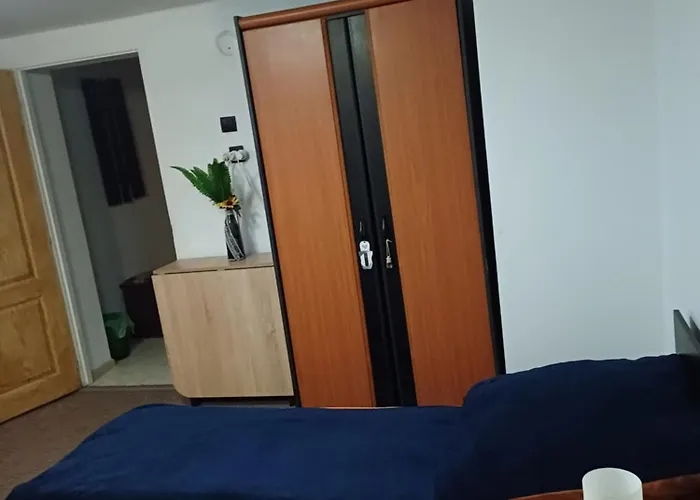 Cu Baie Proprie Carmen 招待所